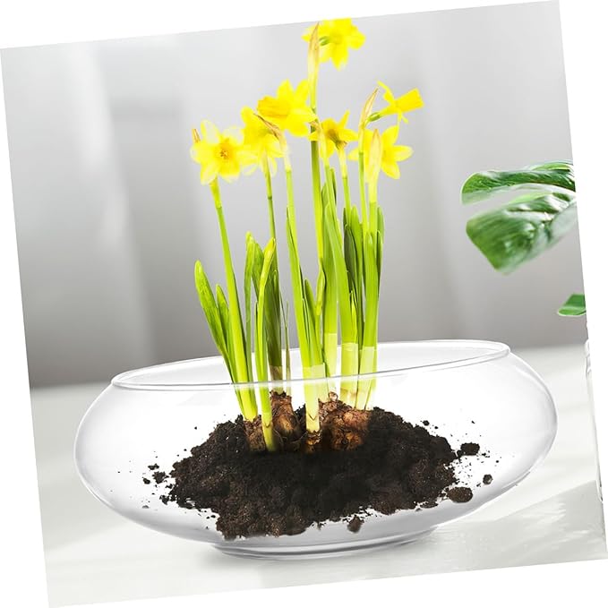 Milisten Flowerpot Micro Landscape Fish Tank Glass Flower Pots Fish Tank for Desk Glass Bowl Hydroponic Plant Pot Keeper Planter Pots Bonsai Planter Succulents Pot Planters