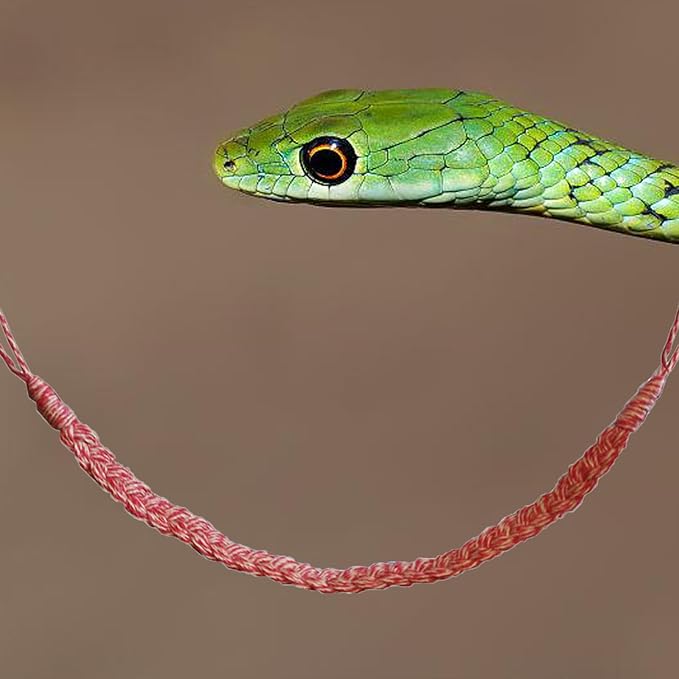 Snake Climbing Toys, Hermit Crab Climbing Toys Reptile Vines Toys for Hermit Crab Bearded Dragon Lizards Geckos Corn Snake