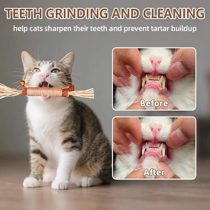 Natural Dried Matatabi Cat Chew Stick with Gall Fruit, Raffia Grass & Bell Cat Ball Toys, Handmade Silvervine Sticks Interactive Catnip Toy for Teething & Entertainment (Size M Color B)