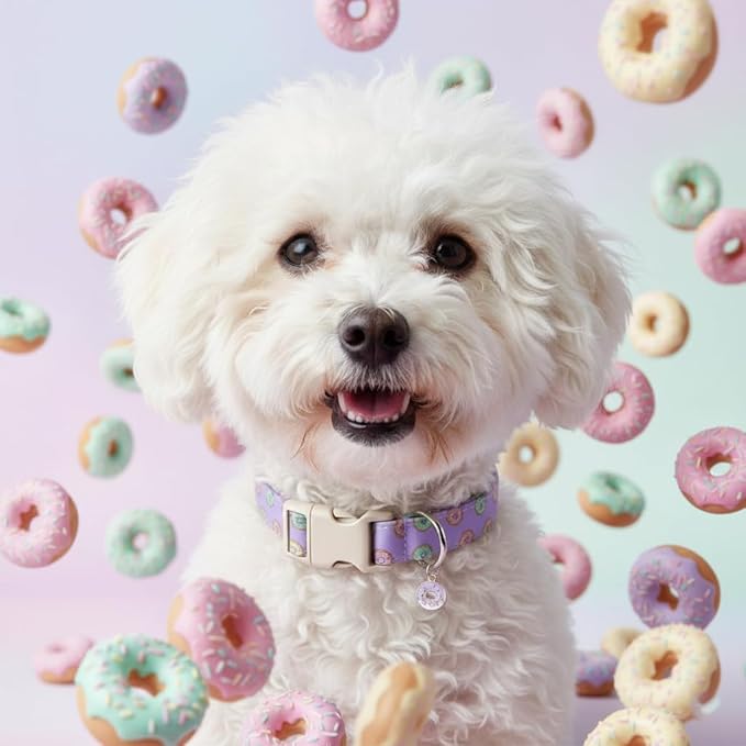 Girl Dog Collar with Unique Purple and Donut Print, Cute Dog Collar for Spring & Summer, Adjustable Pet Collar for Small Dogs