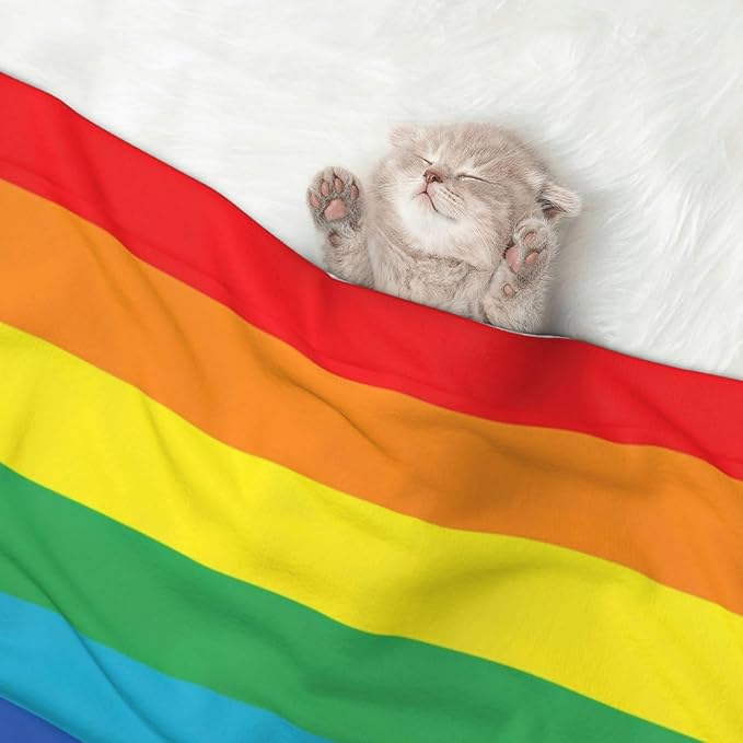 Double Sided Pet Bed Blanket for Added Cushion Warmth, LGBT Pride Rainbow Flag, Reversible Cover with Textured Dot Surface for Existing Beds Standalone Mat