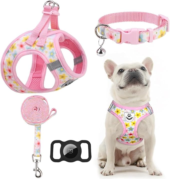 EXPAWLORER Dog Harness and Leash Set - Cute Puppy Harness Leash Dog Collar with AirTag Holder Silicone Case, Soft Padded Step in Pet Vest Reflective for Outdoor Walking, Floral L