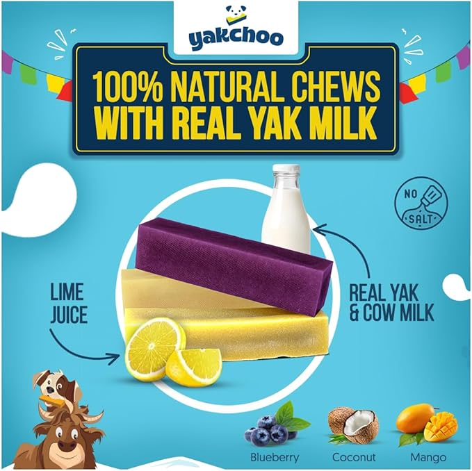 Himalayan Yak Chews for Dogs – Blueberry, Coconut & Mango | Medium Bars 70g (Pack of 3) | 100% Natural, Long-Lasting, Protein & Calcium Rich Treats for All Breeds
