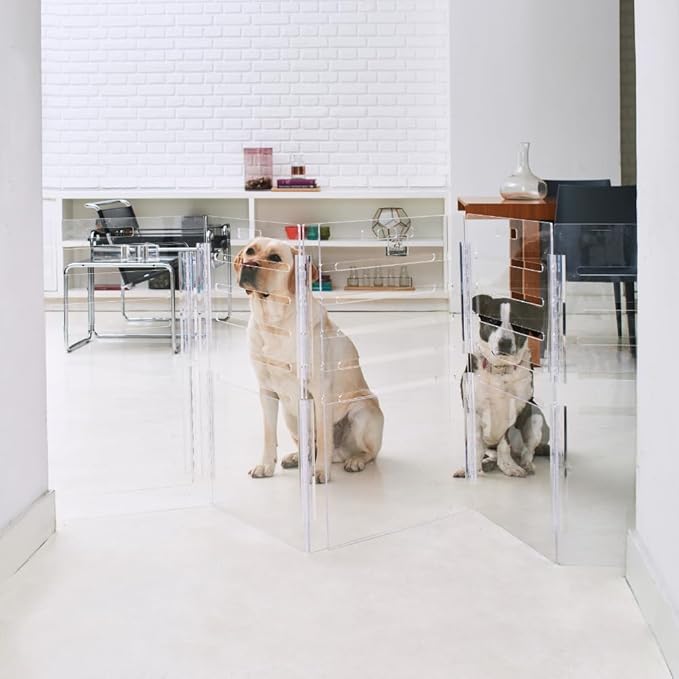 Clear Acrylic Medium Dog Crate Furniture with Charcoal Cushion for Medium Dogs up to 40 lbs, 3 in 1 Pet Crate and Gate, Modern Furniture Style Indoor Kennel, Dual Silver Latch, 20 x 30 x 22 in