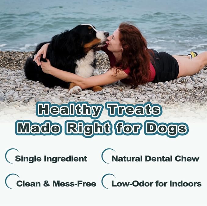 VITADAY Dog Jerky, 100% Fish Skin Dog Treats, Tough Grain-Free Rawhide Alternative, Natural Dog Jerky Treats for, Rich in Collagen & Omega-3, Low Fat, Hypoallergenic, 2.5 oz Pack, Stick