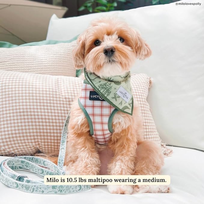 Lucy & Co. Cute Reversible Dog Harness Walking Halter - Best Designer Pet Harnesses for XS - XL Dogs - Padded Adjustable Vest for Easy Walking-Medium-Green Outdoor Plaid