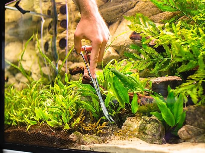 VORESTIC 2PCS 15" Curved Aquarium Tweezers Long and 9.8" Aquarium Scissors, Feeding Tongs and Scissors with Protective Cap, Stainless Steel Aquascaping Tools for Plant Trimming and Reptile Feeding
