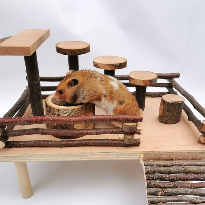 Apple Wood Feeding Bowl for Small Animals, Food Dish for Guinea Pig, Chinchilla, Parrots