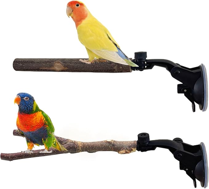 Natural Wood Bird Perch Stand With Suction Cup - 2 PCS Parrot Cage Toys, Shower and Window Stand, Wall Bath Rack for Cockatoo, Macaw, Parakeet