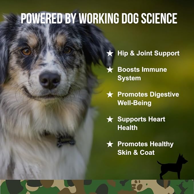 Operation Good Boy 10-in-1 Multivitamin Supplement for Dogs, Glucosamine, Probiotics, Omegas, Enzymes, & Vitamins – 90 Soft Treats, Natural Ingredients, Veteran Owned, Beef Flavored