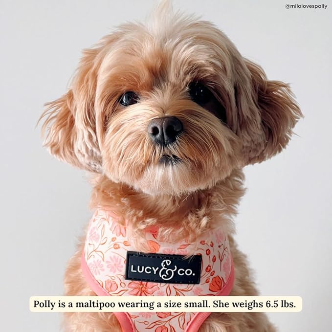 Lucy & Co. Cute Reversible Dog Harness Walking Halter - Best Designer Pet Harnesses for XS - XL Dogs - Padded Adjustable Vest for Easy Walking-Small-Peach Pink Floral Plaid