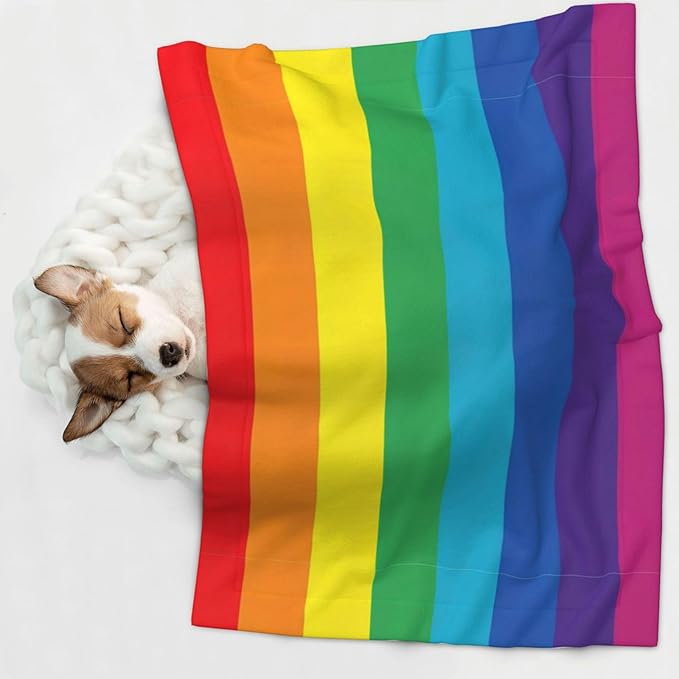 Double Sided Pet Bed Blanket for Added Cushion Warmth, LGBT Pride Rainbow Flag, Reversible Cover with Textured Dot Surface for Existing Beds Standalone Mat