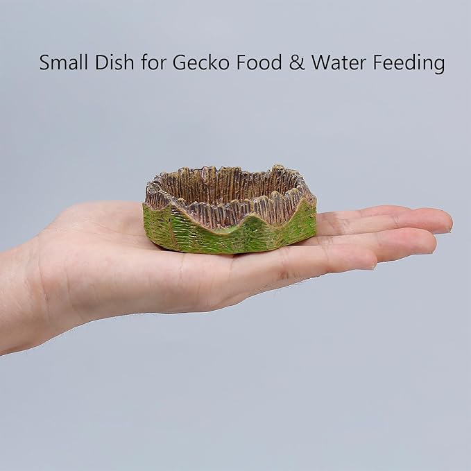 Small Reptile Feeding Dish 2Pack Gecko Food Water Dispenser Worm Bowl with Resin Volcano Decor for Terrarium Leopard Crested Gecko Juvenile Bearded Dragon Lizards Cricket Dubia Feeder
