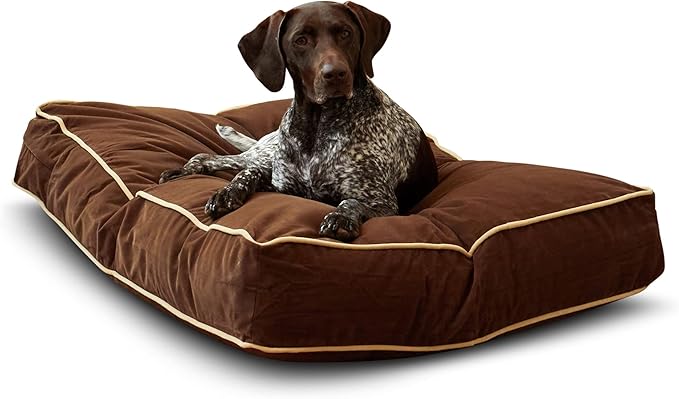 South Pine Porch Buddy Reversible Rectangle Pillow Style Microfiber Dog Bed with Removable, Machine-Washable Cover, Cocoa, Medium (42 in. x 30 in.)
