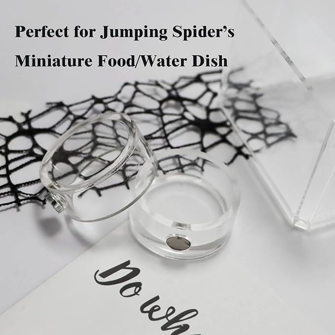 2Pcs Jumping Spider Feeding Dish, Magnetic Tiny Food Dishes Water Dish for Jumping Spider, Tarantula and Other Small Pets,Transparent