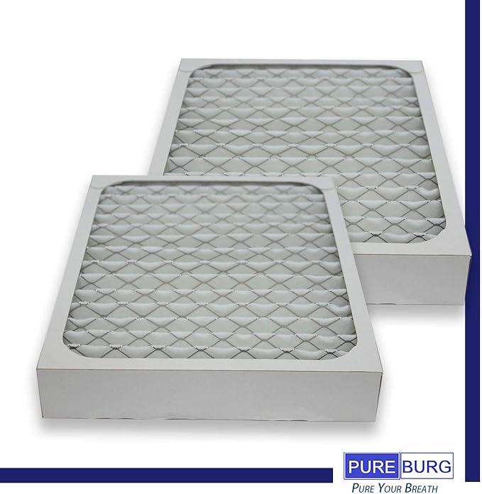 PUREBURG 2-Pack Replacement HEPA Filters Compatible
