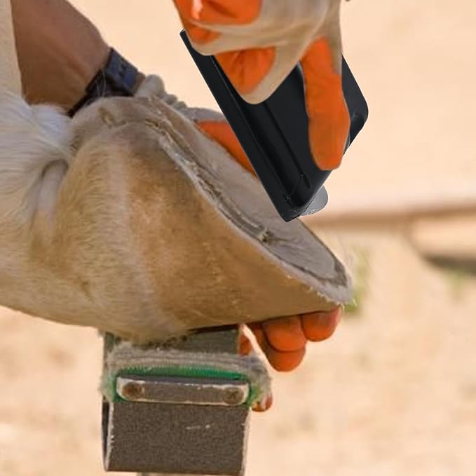 Farrier Rasp File Hoof Trimming Tool, with Coarse and Fine Teeth for The Repair of Pony Hooves, Goat Hooves, Horse Hooves, Pig Hooves and Other Animal Hooves