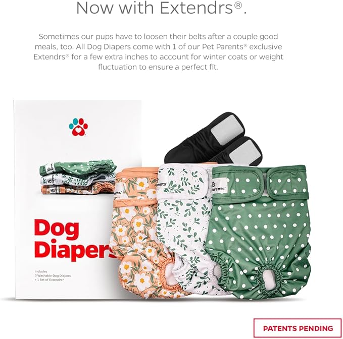 Pet Parents® Washable Dog Diapers (3pack) + Extendrs® of Durable Doggie Diapers, Premium Dog Diapers Female (Medium, Daisy)