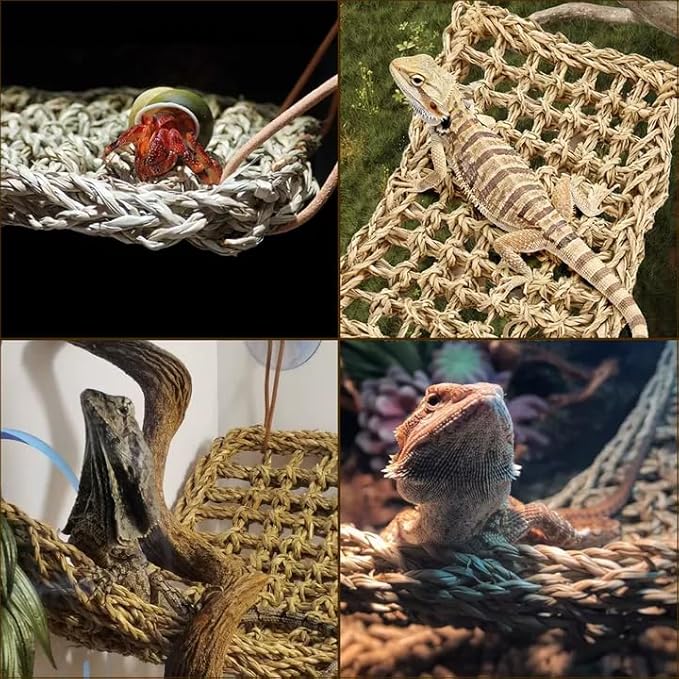 Tfwadmx 2Pcs Bearded Dragon Hammock Lizard Lounger Natural Seagrass Fiber Reptile Habitat Decor with Vine Plant for Hermit Crabs Geckos Snakes