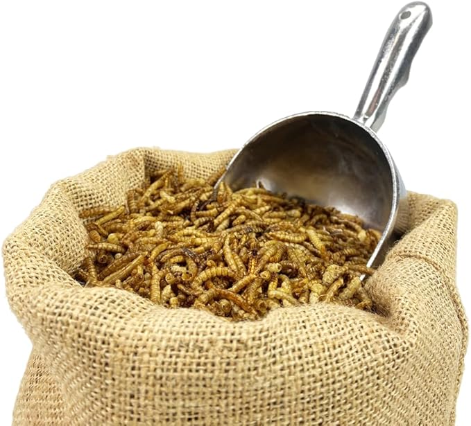 Chubby Mealworms 7LB Bulk Dried Mealworms High Protein Treat for Chickens, Ducks, Birds and Much More
