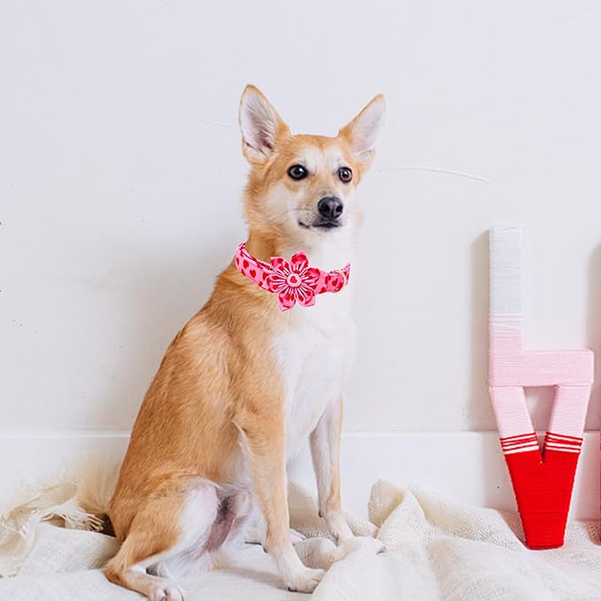 Lionheart glory Valentine's Day Dog Collar with Flower Dog Collar for X-Small Dogs, Soft Adjustable Hearts Dogs Collars Spring Pet Collars Flower Puppy