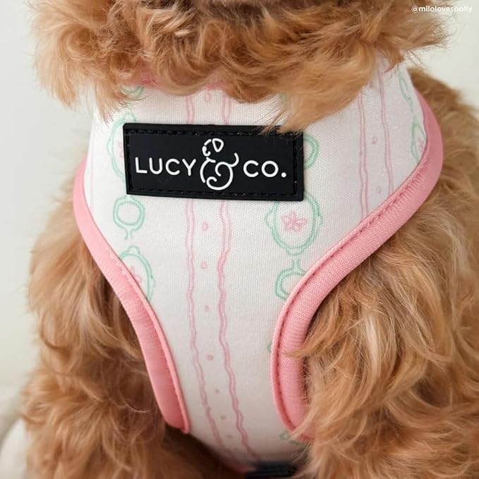 Lucy & Co. Sipping Slowly Reversible Dog Harness, Adjustable Comfort Fit with Dual Leash Attachments, X-Large