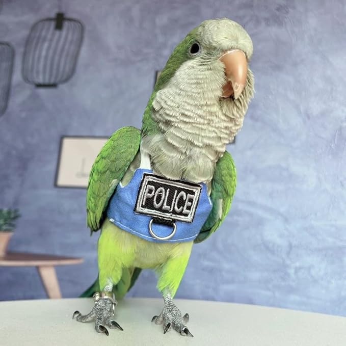Bird Flight Harness Vest, Parrot Flight Suit with Leash, Bird Flying Clothes with Rope and Handle for Outdoor Activities (Without Leash,Sun Conure)