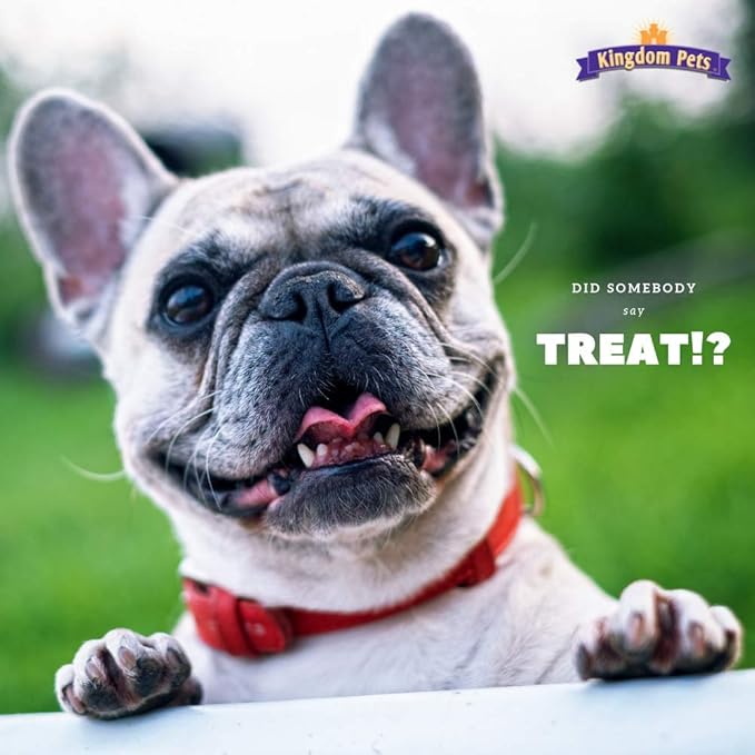 Chicken Jerky Wrapped Rawhide Dog Treats, Natural Dog Jerky Treats Made with Lean Chicken Breast for All Breeds & Sizes, 1-Pound Bag