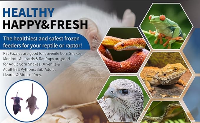 MiceDirect 100 Frozen Rat Combo Pack 50 Rat Fuzzies and 50 Rat Pup Feeders Snake Food for Baby Ball Pythons and Boas (2-3.5 in)(Pack of 100)(1450 Grams Min)