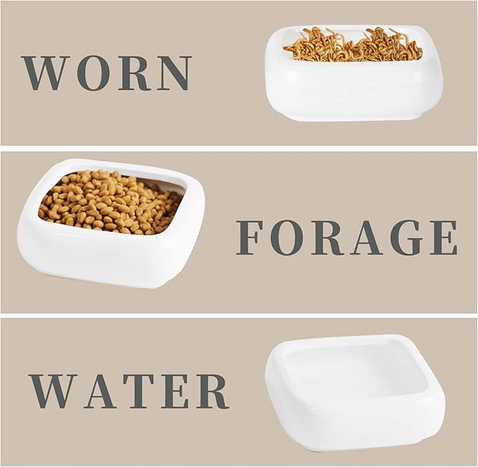 Reptile Food Bowls Ceramic Square Reptile Water Food Dish, Pet Food Bowl for Lizards, Young Bearded Dragons, Small Snakes, Gecko Tortoise Spider (White, Medium-1Pack)