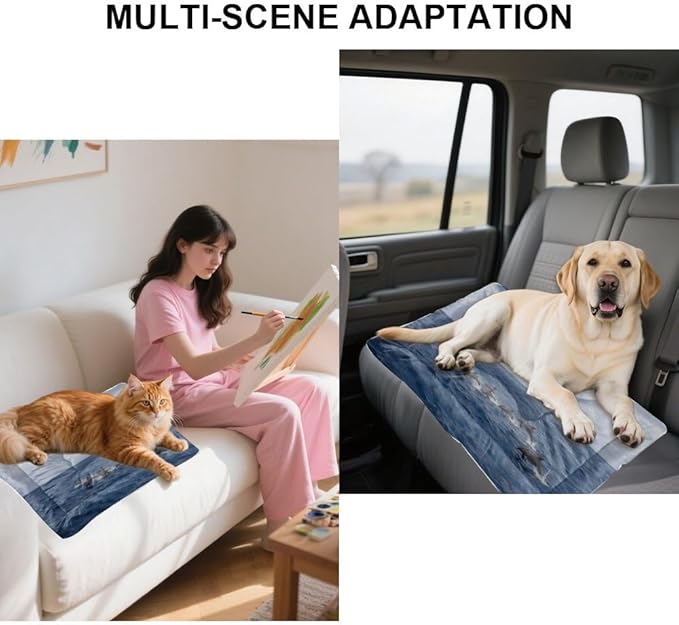 Dolphins Tall Ship Ocean Scene Dog Bed Travel Bed Mats for Dogs Pads for Dog Crates Medium Crate Washable Non-Slip Crate Small Portable Floor Mat Medium Sized Indoor Outdoor 24X18 Inch
