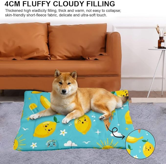 Banana Lemon Treat Turquoise Dog Bed Furniture Dog Bed Mats Pet Pad Crate Cushion Washable Non-Slip Cage for Crate Beds for Medium Size Dogs Mat Washable Medium Size Beds Indoor Outdoor 24X18 Inch