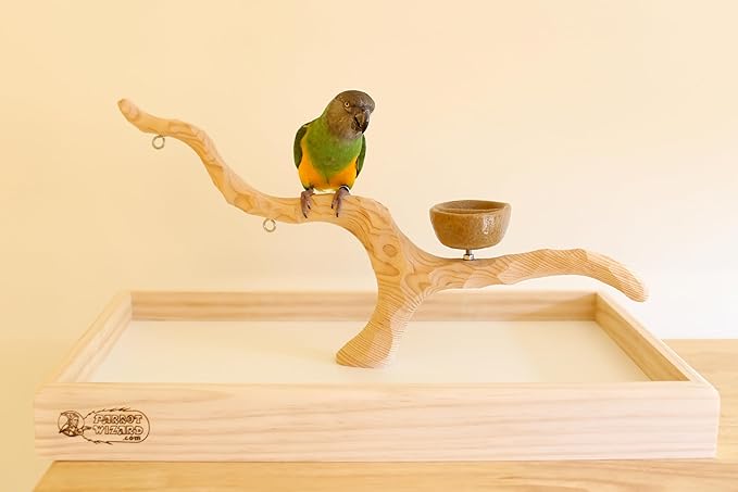Deluxe Tabletop Perfect Tree (with Bowl) - Tree Stand for Parakeets and Small Parrots