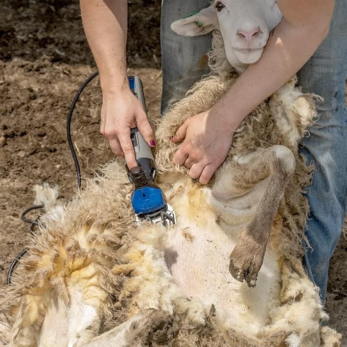 Premier 1 Spirit Comb for Livestock Shearing Machine