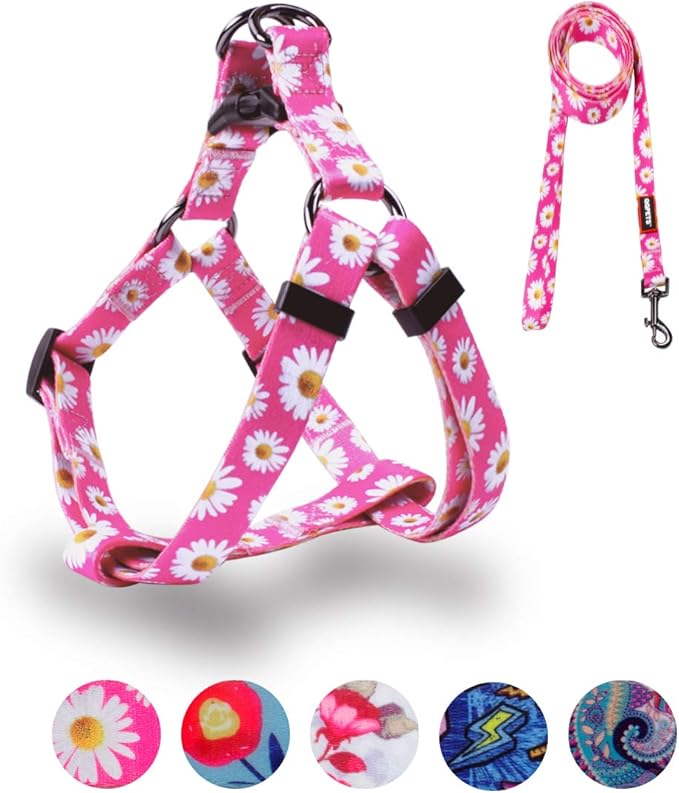 QQPETS Dog Harness Leash Set Adjustable Heavy Duty No Pull Halter Harnesses for Small Medium Large Breed Dogs Back Clip Anti-Twist Perfect for Walking (M(19"-26" Chest Girth), Daisy)