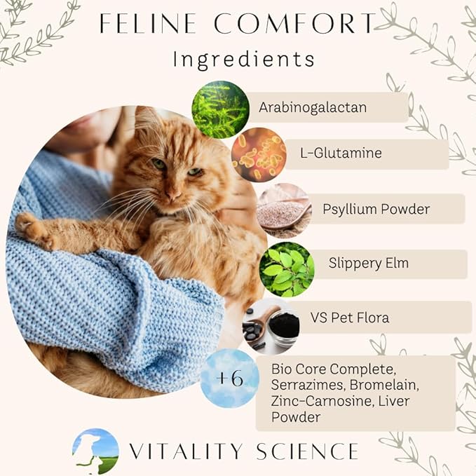 Feline Comfort for Cats | Maintains a Healthy Intestinal Tract and Proper Gut Flora | Restores Gastric Stability | for Vomiting and Diarrhea | 100% Additive Free (Beef, 98g)