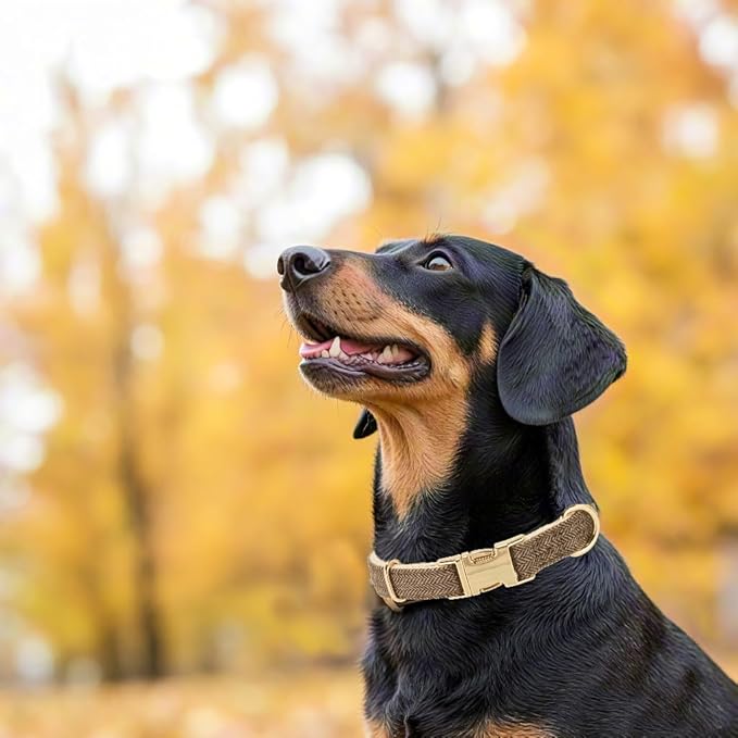 Soft Cotton Hemp Dog Collar with Metal Buckle Adjustable Tweed Dog Collars for Small Medium Large Dogs(Coffee,Medium)