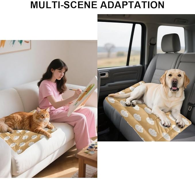 Cute Brown Clouds Easy to Wash Dog Bed Pad Mat for Dog Pad Bed Medium for Crate Washable Non-Slip Crate Small Washable Pet Mattress Cage Small Pets Indoor Outdoor 24X18 Inch