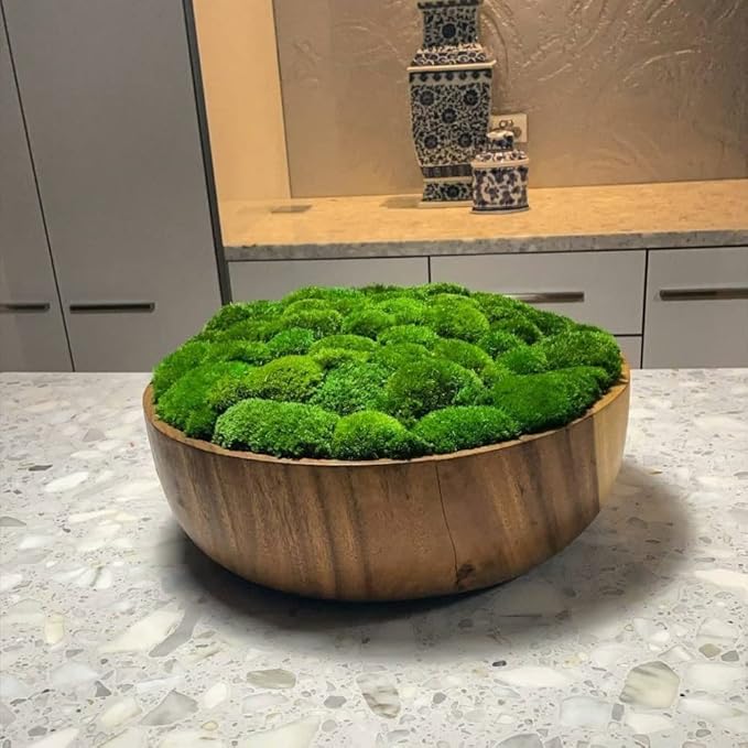 Preserved Pole Moss Pillow Bun Cushion Natural Green Decorative Real Natural Green DIY Kit Terrariums Gardenning Art Wall Decor Florist Decor Easter Table Decor Wedding(6.0 sq.ft., Green-B)
