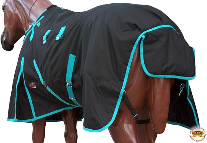 HILASON Black with Turquoise Trims 72 inch 1200D Winter Waterproof Poly Horse Turnout Blanket Belly Wrap