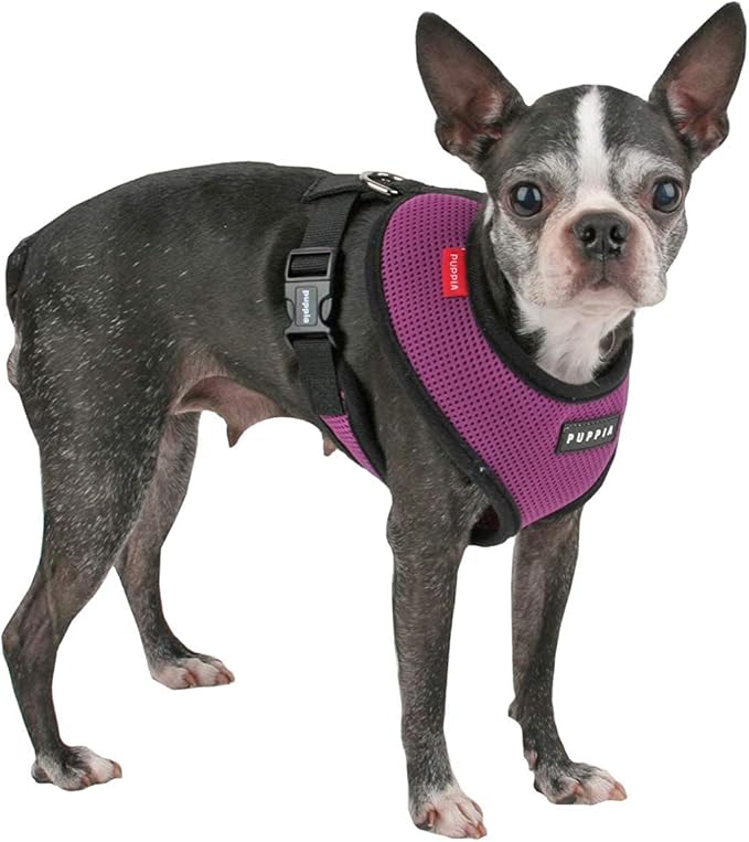 Puppia Soft Dog Harness No Choke Over-The-Head Triple Layered Breathable Mesh Adjustable Chest Belt and Quick-Release Buckle, Purple, X-Large