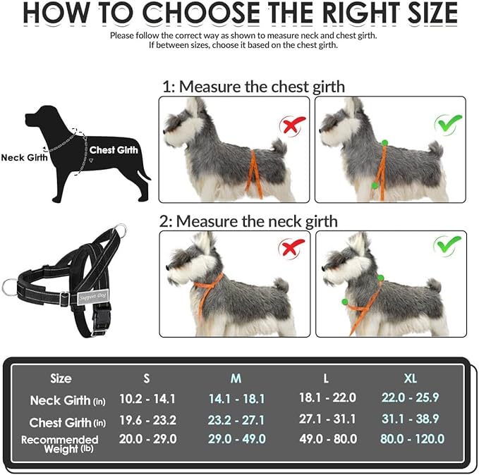 SlowTon No Pull Dog Harness - Heavy Duty Dog Harness and Leash Set for Medium Large Dogs, Reflective Tactical Harness with Soft Padded and Front Clip for Easy Walk and Training （B, M