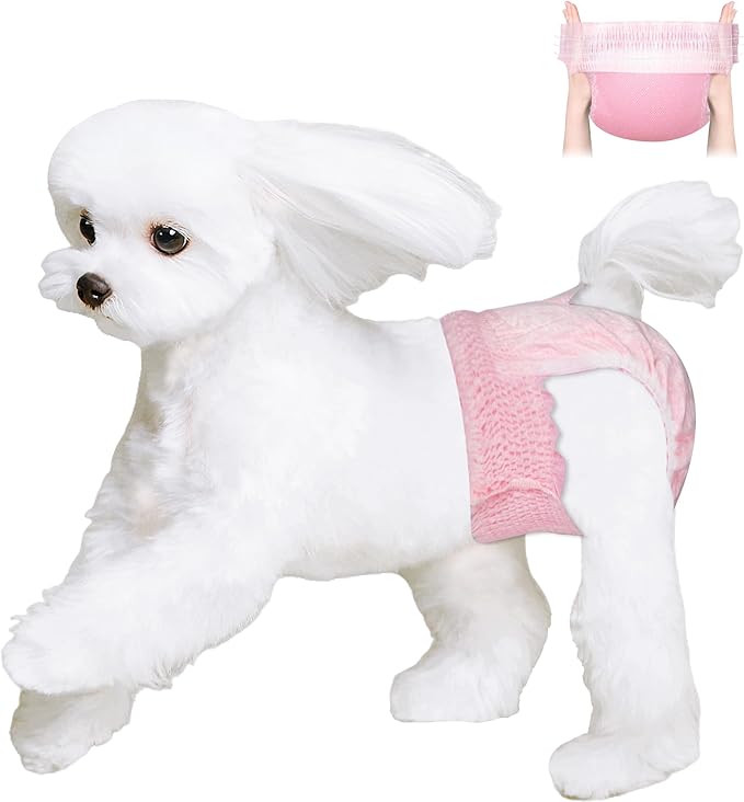 Ambreview Disposable Dog Diapers Female, Just Pull It Up, Doggie Diapers for Female Dogs, Strong Absorbency | Leak Proof, for Dogs in Heat | Elderly | Disabled, XS 10 PCS