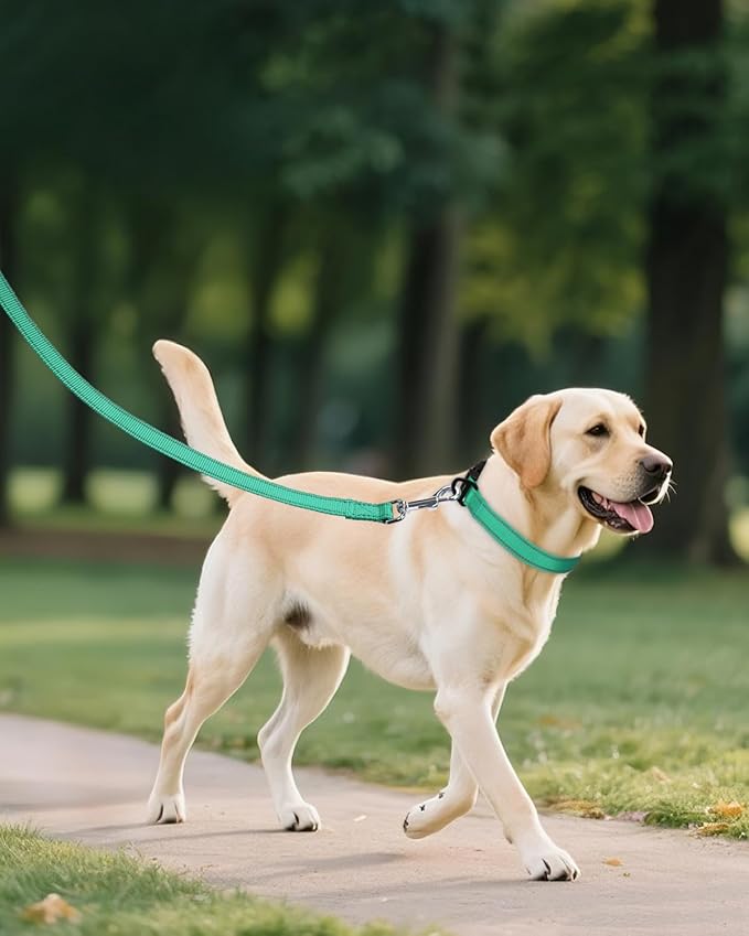 Joytale Large Dog Collar, Reflective and Adjustable Nylon Pet Collar with Quick-Release Buckle for Large Dogs, Teal, L