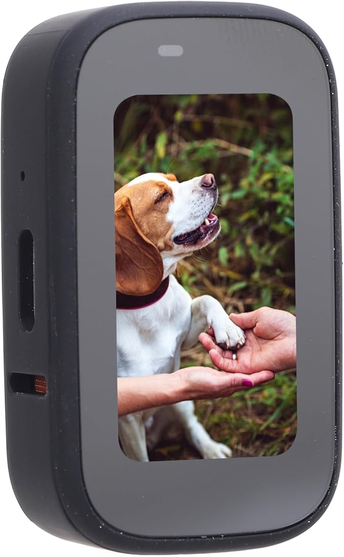 Pet Body Worn Camera, Water Portable HD Wearable Body Cam with Multiple Functions, for Cats Dogs Outdoor Travel Adventures (Black)