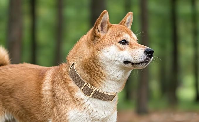 Soft Cotton Hemp Dog Collar with Metal Buckle Adjustable Tweed Dog Collars for Small Medium Large Dogs(Coffee,Small)