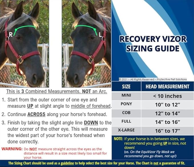 Recovery Vizor, (Size COB - Dark UV Tint) Medical & Preventative Horse Eye Protection Mask for Uveitis/Injury/Scratch or Corneal Ulcer, Infection, Blindness.