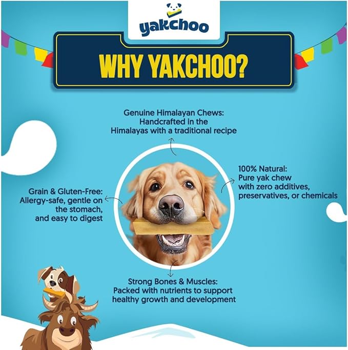 Himalayan Yak Chews for Dogs – Blueberry, Coconut & Mango | Medium Bars 70g (Pack of 3) | 100% Natural, Long-Lasting, Protein & Calcium Rich Treats for All Breeds