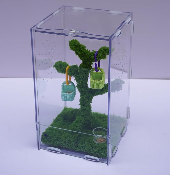 Jumping Spider Enclosure, Terrarium Accessories Knit