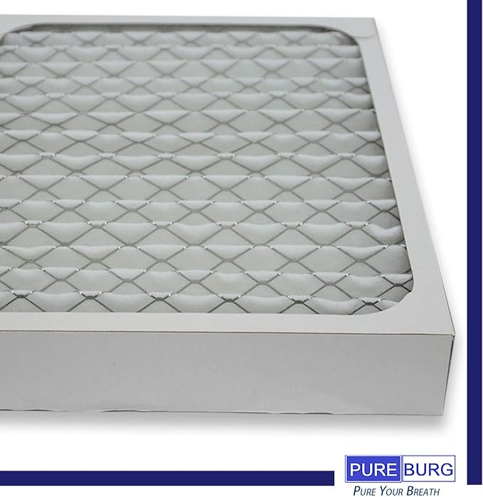 PUREBURG 2-Pack Replacement HEPA Filters Compatible
